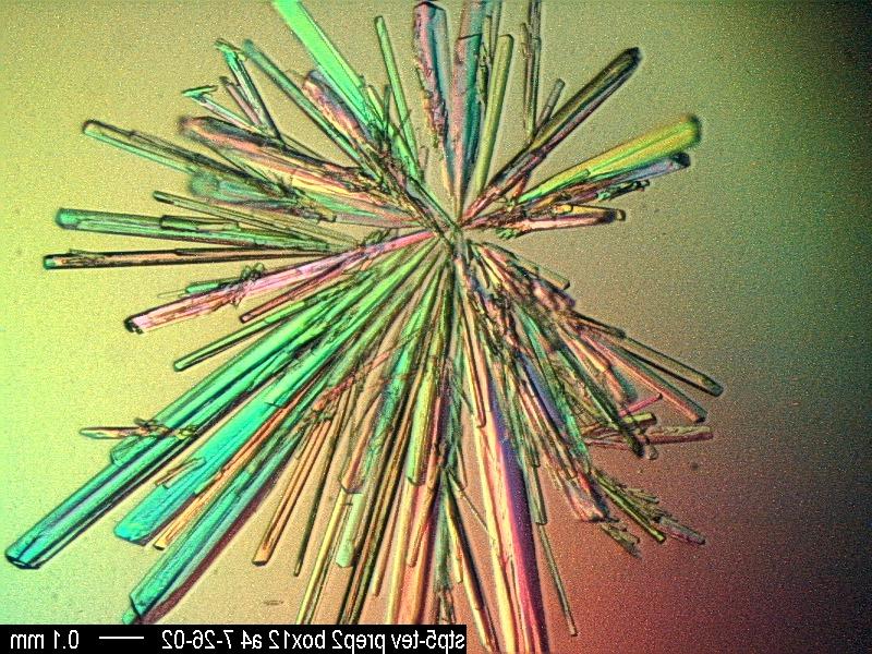 癌症细胞与分子生物学