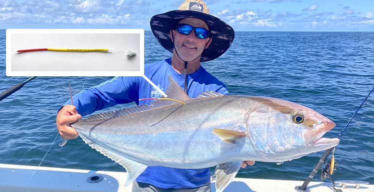 Captain Brett Falterman of Fish Research Support displays a conventionally-tagged greater amberjack before releasing the fish off the coast of Louisiana. Photo insert: Each of the small, colorful conventional tags will display a unique five-digit number and a telephone number to call to claim a $250 reward. (Photos courtesy of Dr. Michael Dance, Louisiana State University and Dr. Marcus Drymon, Mississippi State University.)